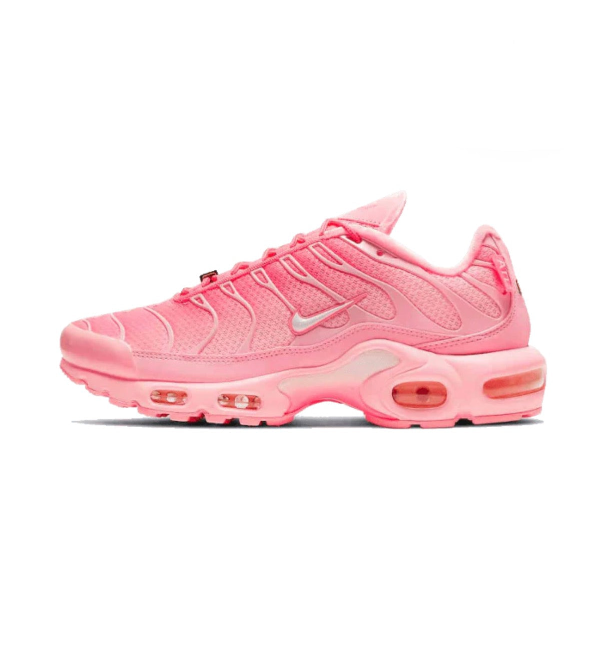 Nike Air Max Plus Atlanta